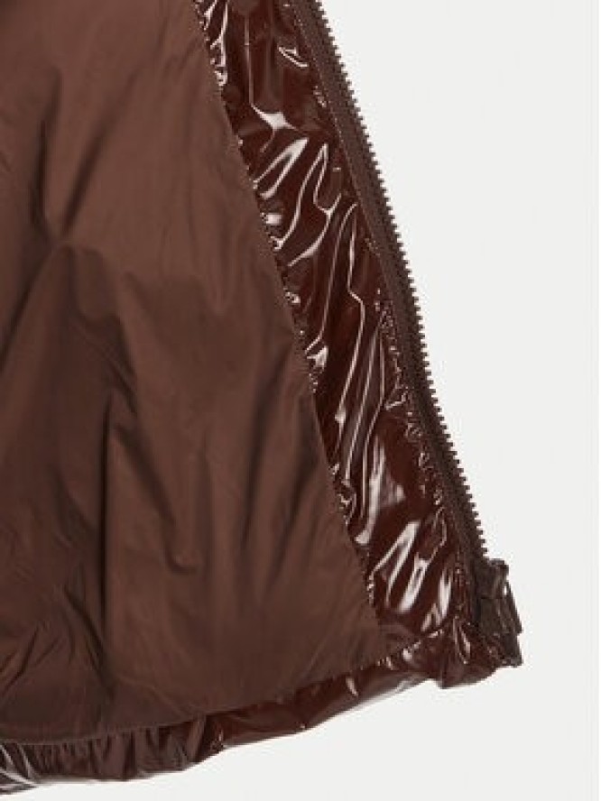 PINKO Kurtka zimowa Eleodoro 101597 A2P7 Brązowy Regular Fit