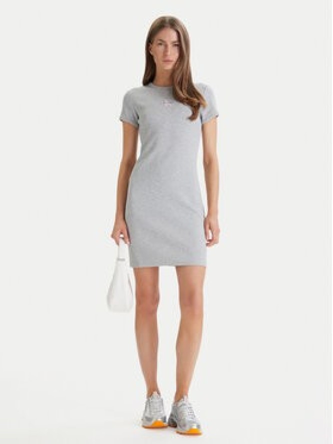 Calvin Klein Jeans Sukienka codzienna Monologo Baby LV047F241G Szary Slim Fit