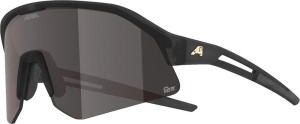 Okulary przeciwsłoneczne Alpina Sonic HR M Q-lite