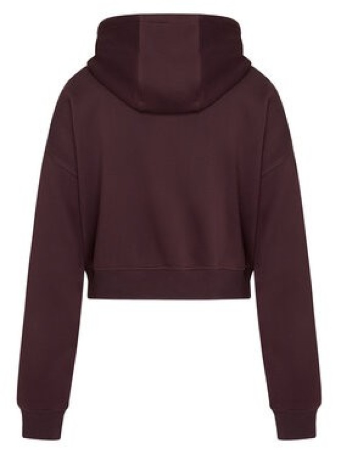 Reebok Bluza Daniella RK25684CCW Brązowy Regular Fit