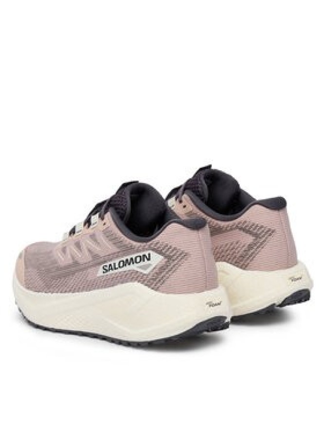 Salomon Buty do biegania Aero Blaze 3 Grvl W L49218000 Beżowy