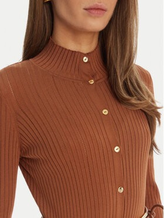 Elisabetta Franchi Sukienka dzianinowa AM-15S-61E2-V490 Brązowy Regular Fit