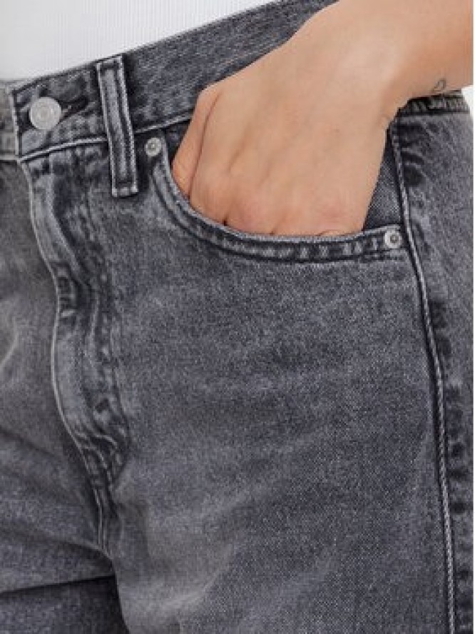 Levi's® Jeansy Cinch 003V5-0000 Szary Baggy Fit