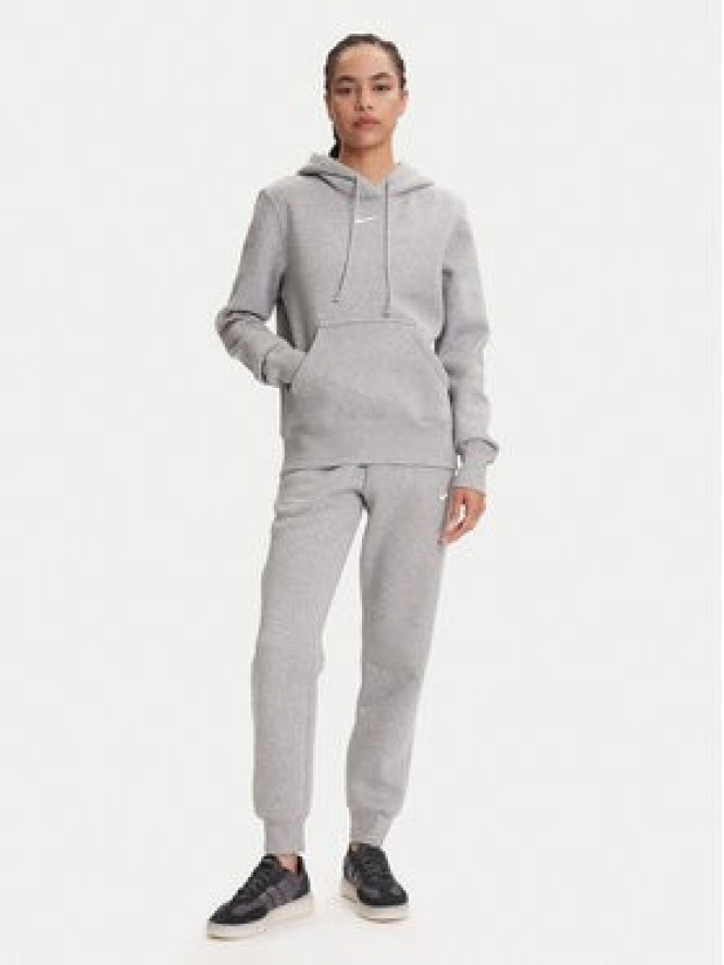 Nike Spodnie dresowe FZ7626 Szary Regular Fit