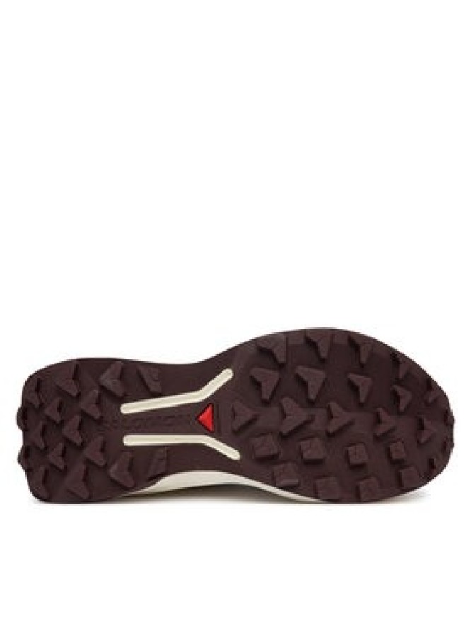 Salomon Buty do biegania Genesis 2 W L49309600 Beżowy