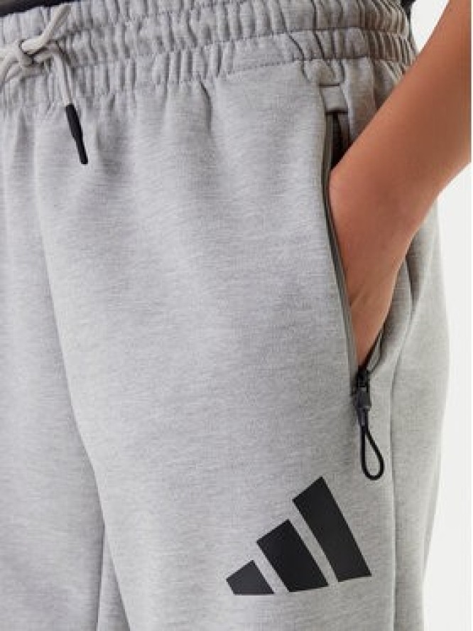 adidas Spodnie dresowe Z.N.E. JD9586 Szary Regular Fit