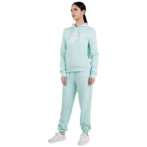Bluza damska Reebok Identity Big Logo Fleece