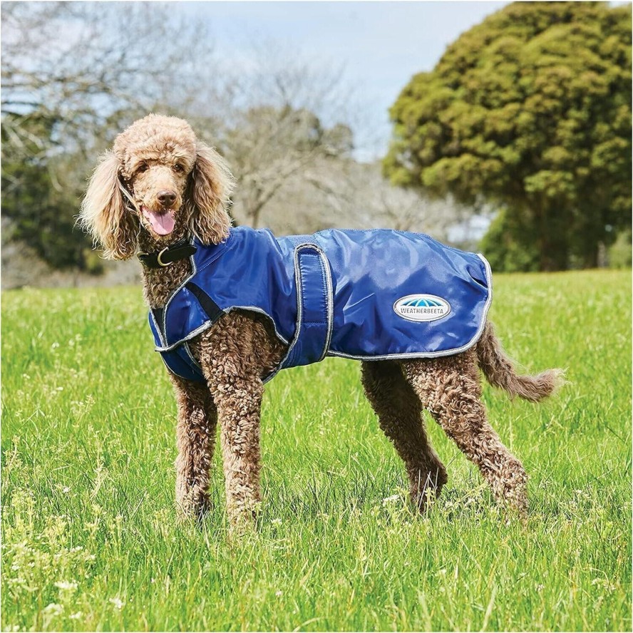 Sierść psa Weatherbeeta ComFiTec Windbreaker Free Deluxe