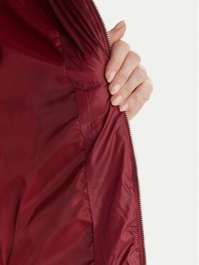 Artigli Kurtka zimowa ACPM002931 Bordowy Regular Fit