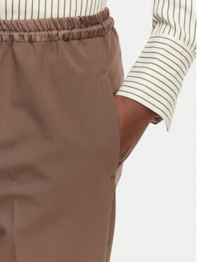 Marella Spodnie materiałowe Teso 2613131075 Brązowy Regular Fit