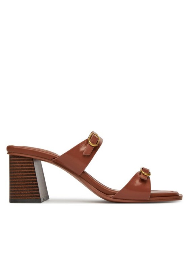 Aldo Klapki Maymay 14028466 Brązowy
