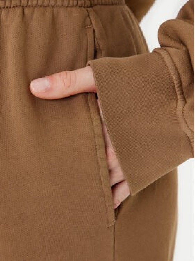 PINKO Spodnie dresowe Pazzo 105508 A2RB Brązowy Regular Fit