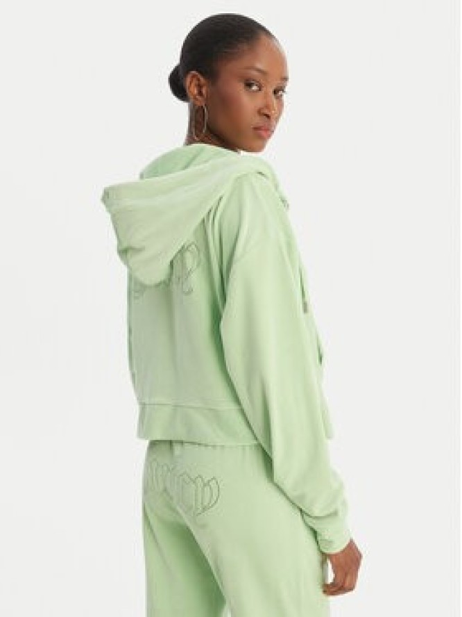 Juicy Couture Bluza Iccle JCWAS126304 Zielony Oversize