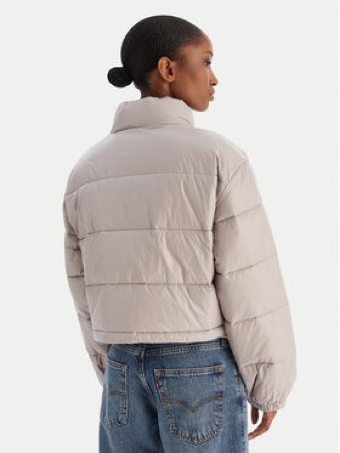 Calvin Klein Jeans Kurtka zimowa LV047D504G Szary Regular Fit