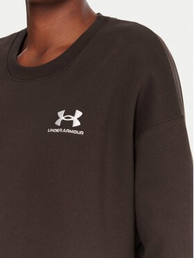Under Armour Bluza Essential 1379475 Brązowy Loose Fit