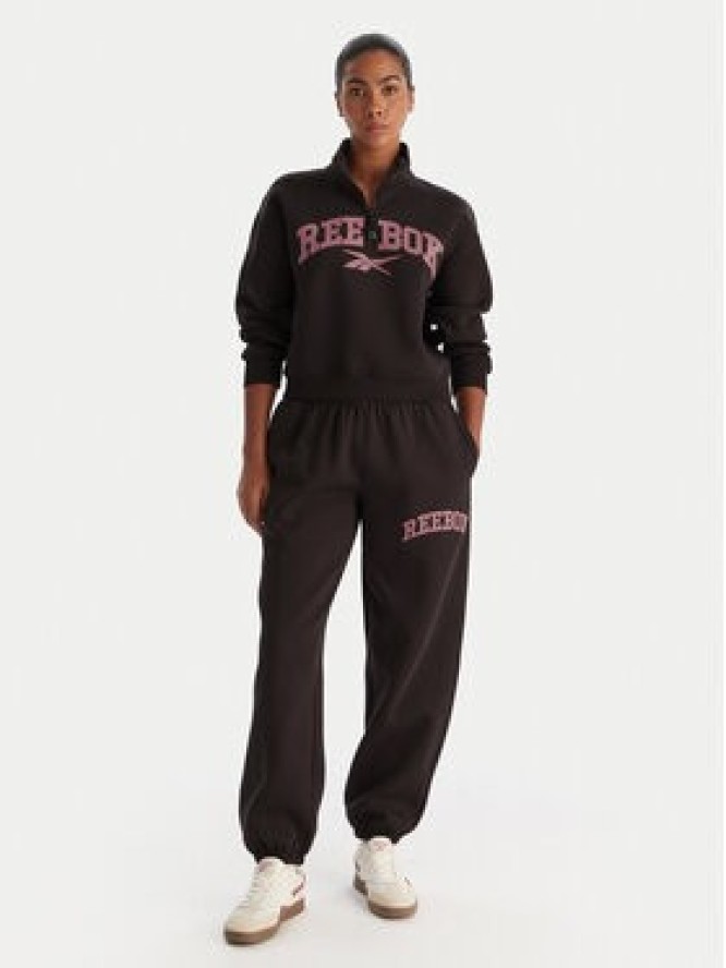 Reebok Spodnie dresowe Marvs RK25165CCW Brązowy Regular Fit