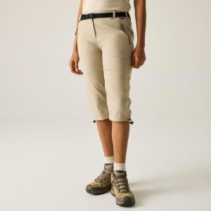 Shorty damski Regatta Xert Stretch