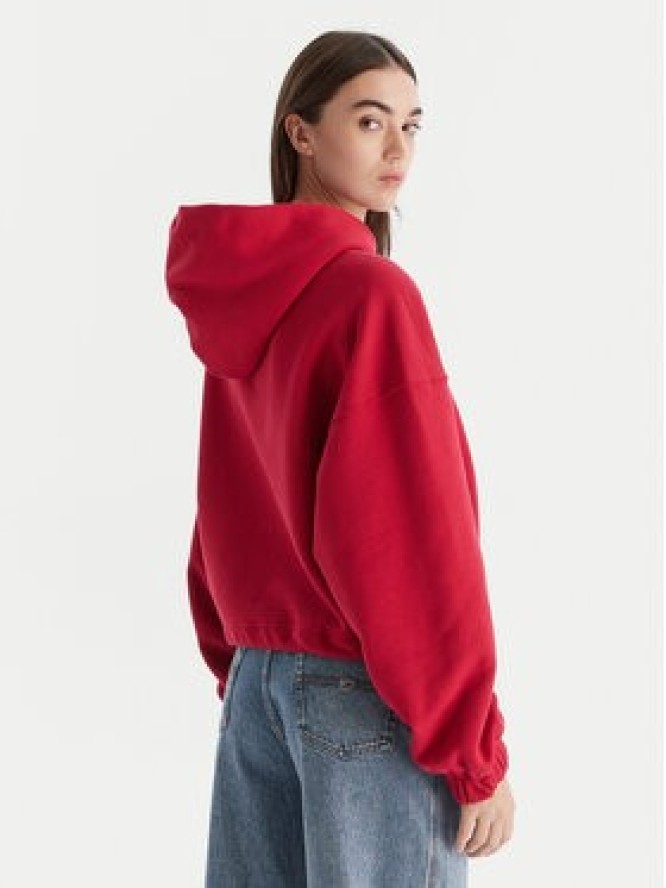 Tommy Jeans Bluza Bling Linear DW0DW21607 Czerwony Regular Fit