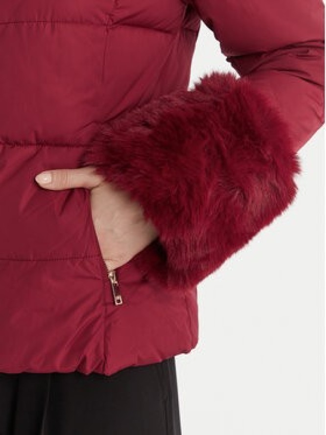 Artigli Kurtka przejściowa ACPM003096 Bordowy Regular Fit