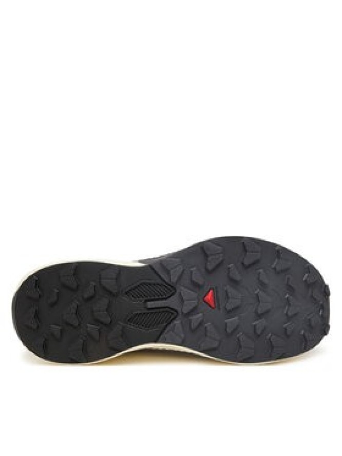 Salomon Buty do biegania Pulsar L47975500 Fioletowy