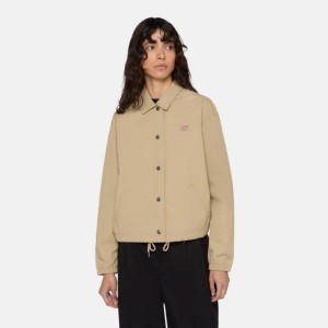 Kurtka DICKIES OAKPORT CROPPED COACH Beżowy