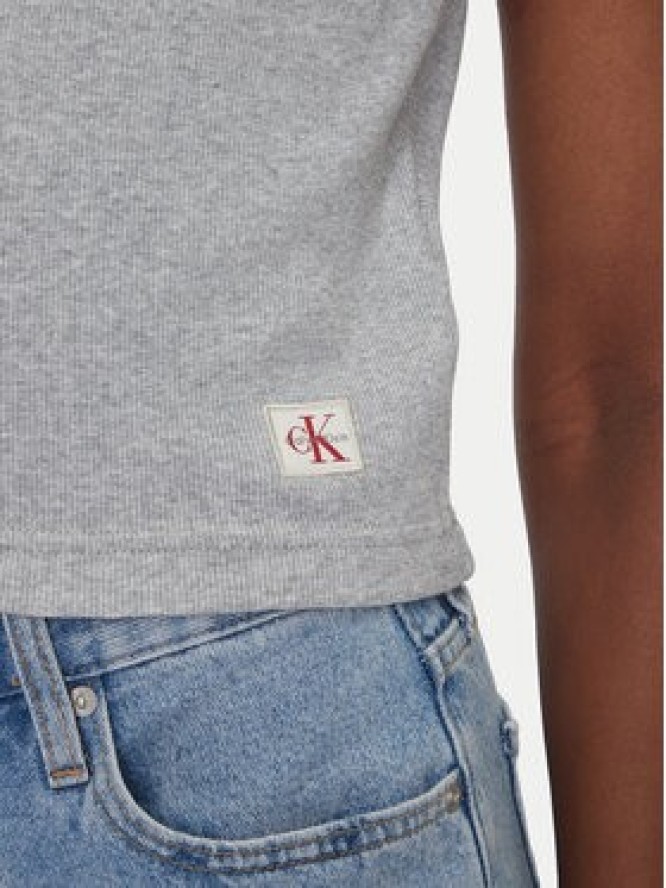 Calvin Klein Jeans T-Shirt LV047C910G Szary Regular Fit