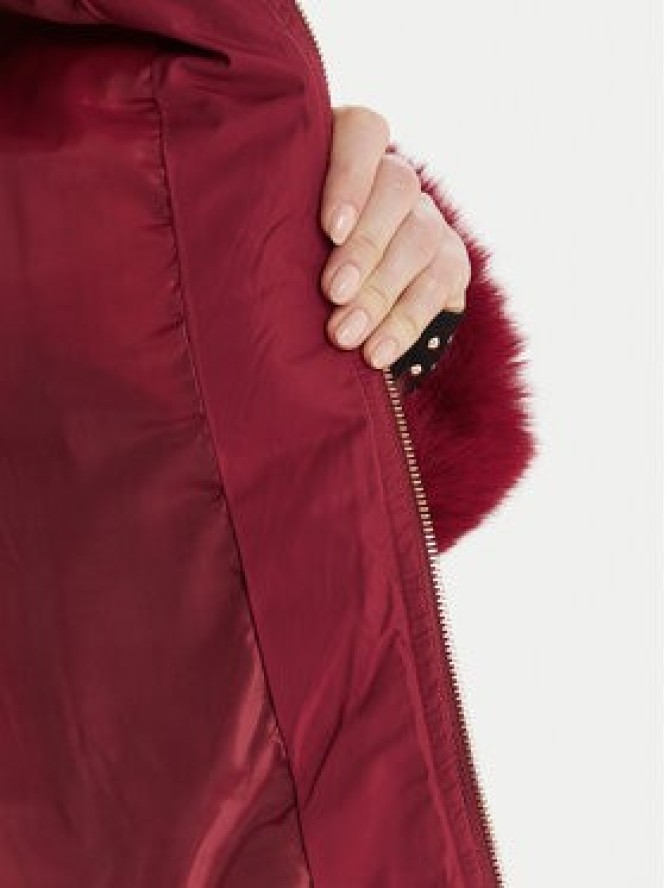 Artigli Kurtka przejściowa ACPM003096 Bordowy Regular Fit