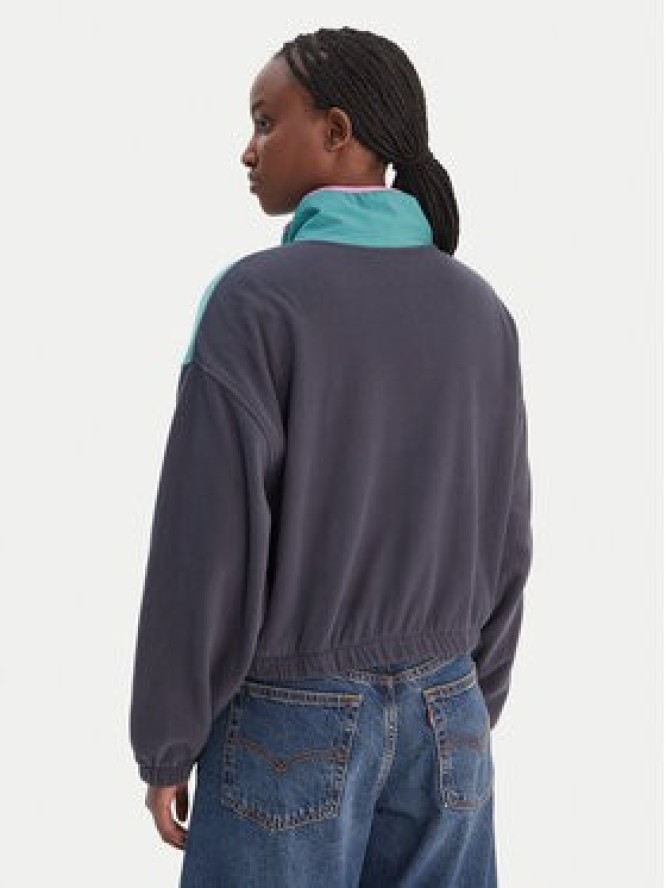 Quiksilver Polar Kedai EQWPF03005 Szary Regular Fit