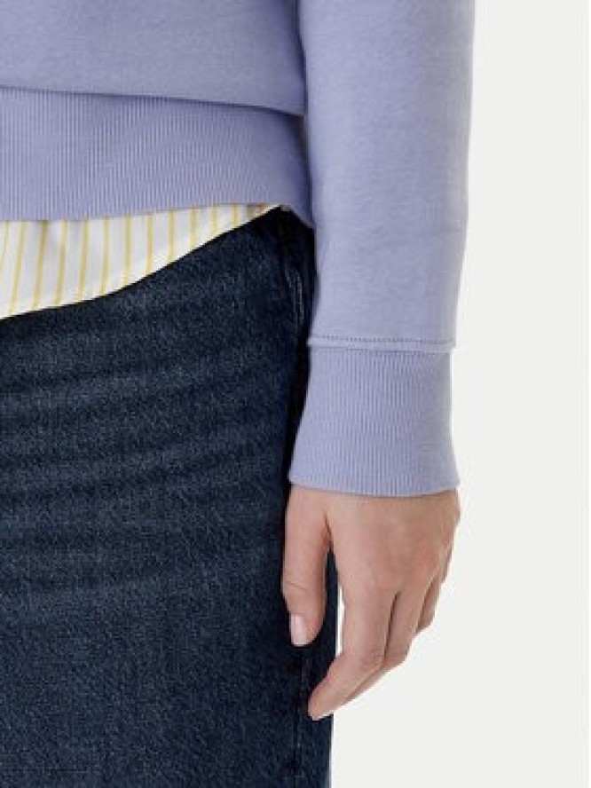 Tommy Jeans Bluza Flag DW0DW19959 Niebieski Regular Fit