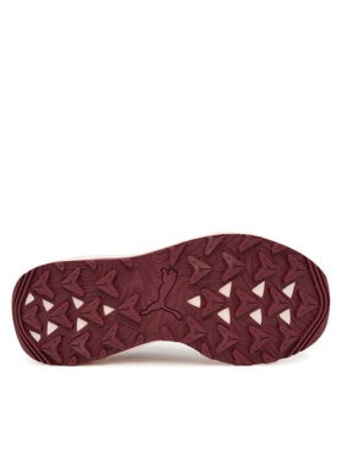 Puma Buty do biegania Flare Pro Trail 311732 06 Fioletowy