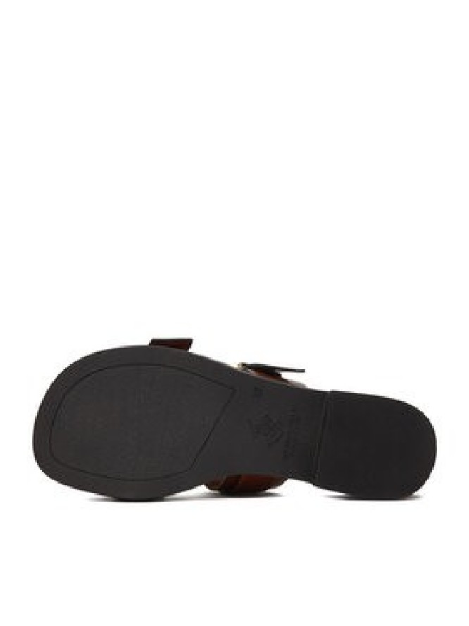 Beverly Hills Polo Club Klapki CEO-HY7006-1 Brązowy