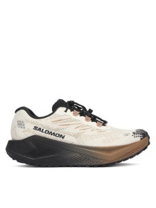 Salomon Buty do biegania Aero Blaze 4 gtx GORE-TEX L45403900 Beżowy