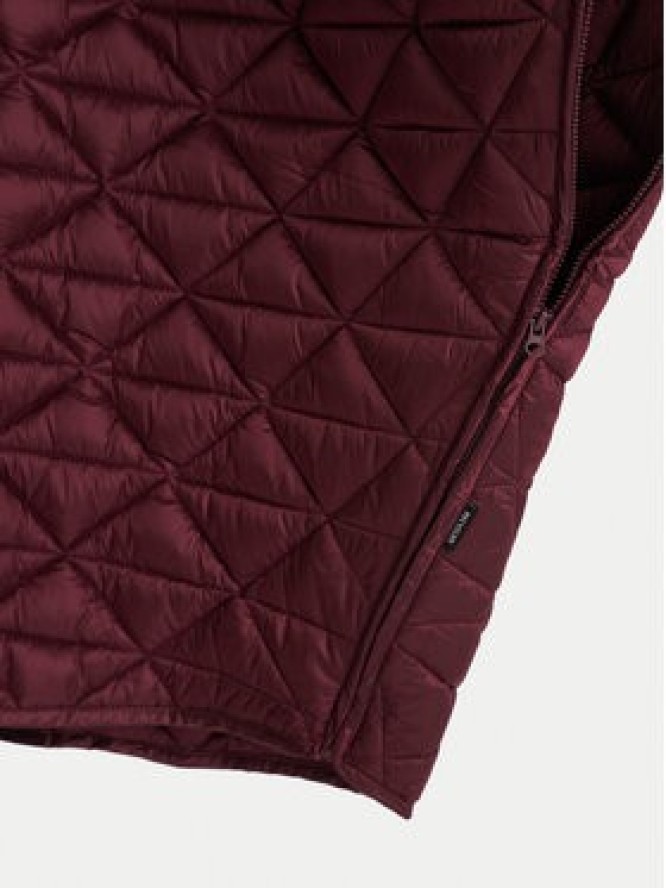 Save The Duck Kurtka przejściowa D42465W JADE21 Bordowy Relaxed Fit