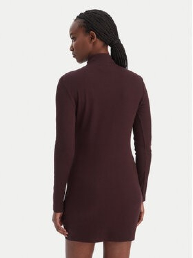 Calvin Klein Jeans Sukienka codzienna LV047E204G Brązowy Slim Fit