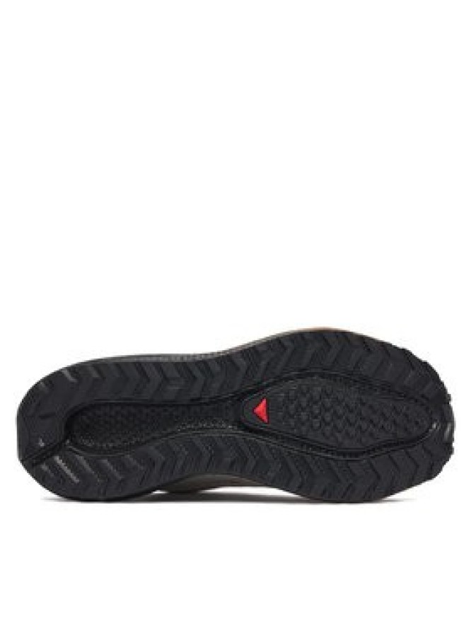 Salomon Buty do biegania Aero Blaze 4 gtx GORE-TEX L45403900 Beżowy