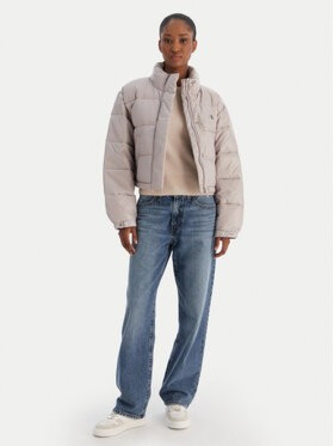 Calvin Klein Jeans Kurtka zimowa LV047D504G Szary Regular Fit