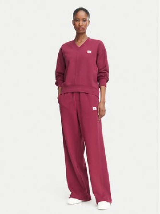 Calvin Klein Jeans Bluza LV047E237G Czerwony ciemny Regular Fit