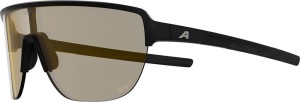 Okulary przeciwsłoneczne Alpina Ram 2.0 Q-Lite