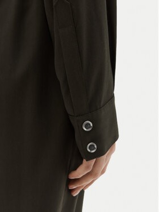 PINKO Sukienka codzienna Affettatrice 104147 Zielony Regular Fit