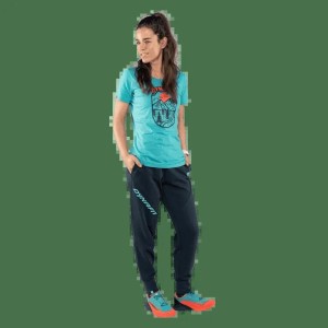 Dynafit Koszulka damska Graphic Cotton T-Shirt Brittany blue/horizon r.M