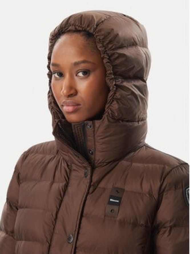 Blauer Kurtka zimowa Anita 26WBLDK03043 006047 Brązowy Regular Fit