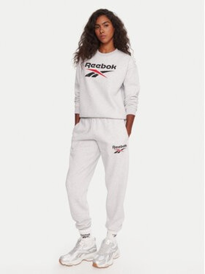 Reebok Spodnie dresowe Stacey RK25166CCW Szary Regular Fit