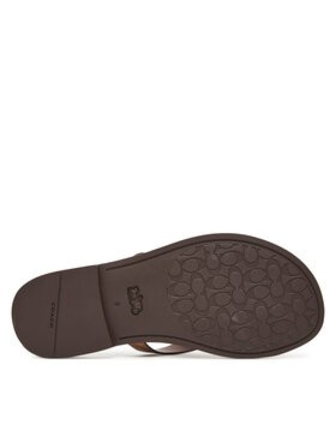 Coach Japonki Brianna CZ371 Brązowy