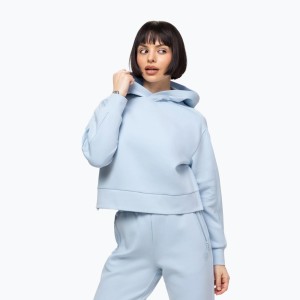 Bluza damska Pitbull Discovery Hooded
