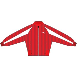 Damska bluza dresowa Puma Future Archive