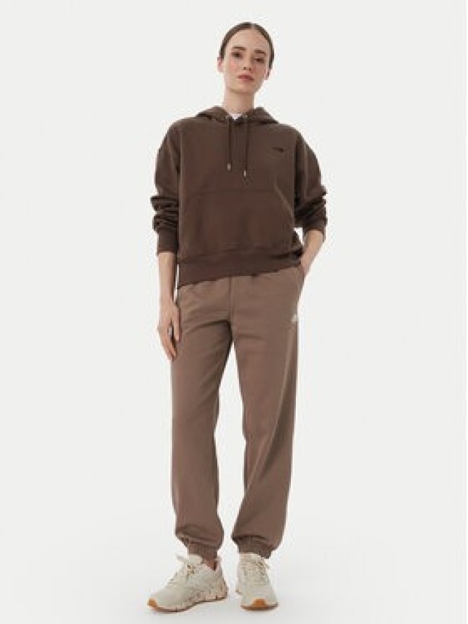 The North Face Bluza Tnf Essential Simple Dome Boxy Os NF0A8HBX Brązowy Regular Fit