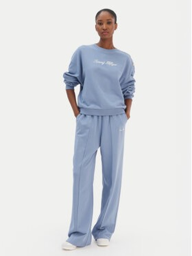 Tommy Hilfiger Bluza Script WW0WW48783 Niebieski Relaxed Fit