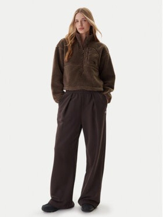 The North Face Polar Extreme Pile NF0A88ZC Brązowy Regular Fit