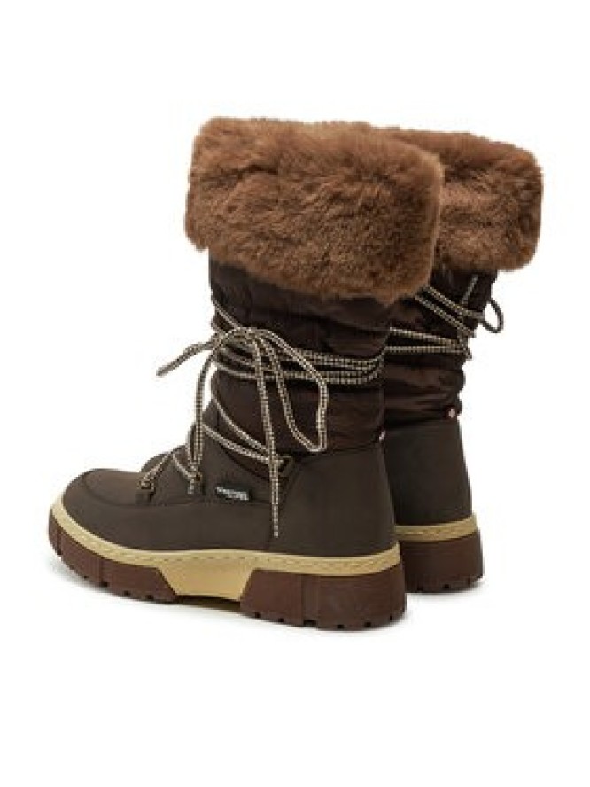 Vertigo Alpes Śniegowce Uciole Brązowy