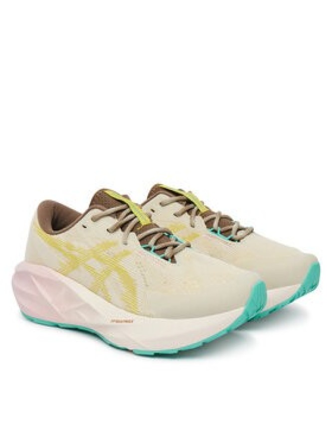 Asics Buty do biegania Novablast 5 Tr 1012B983 Szary